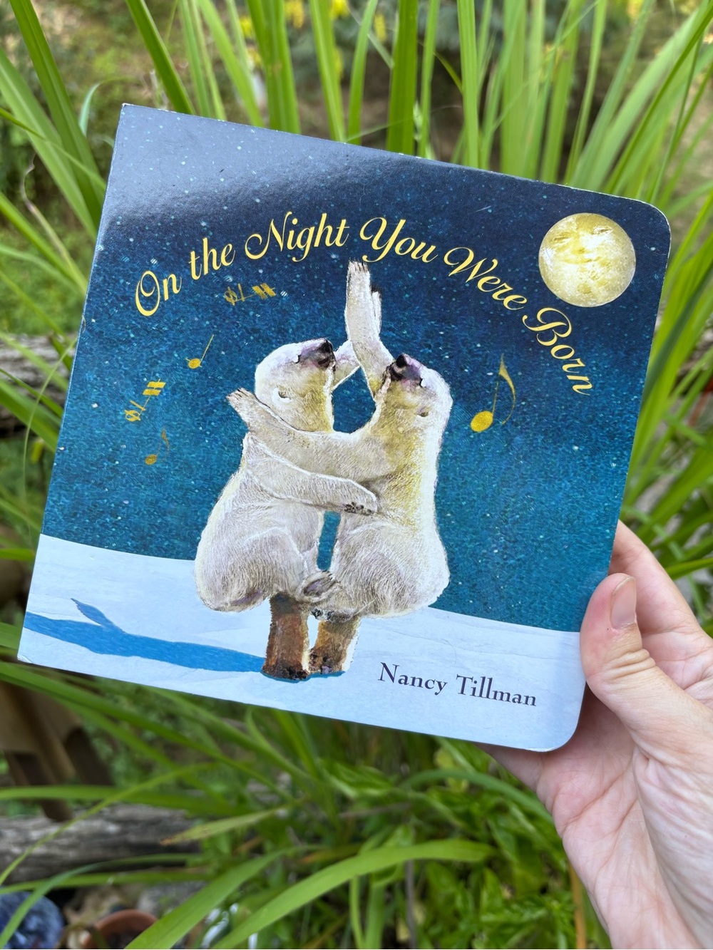 Baby /Kids Book - "On the Night You Were Born”